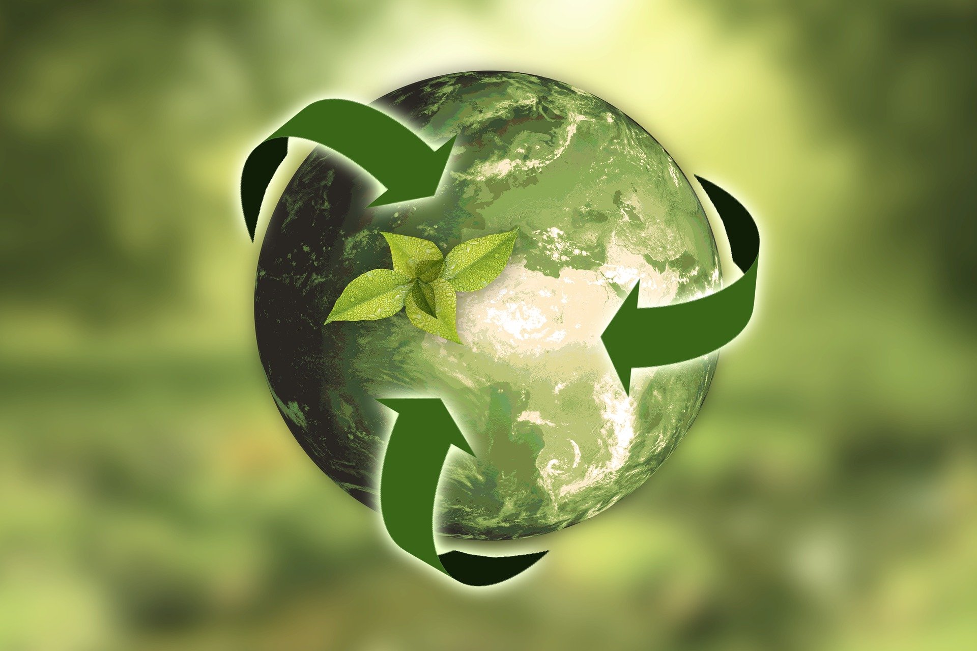 ESG, TVO, Taxonomie, Artikel 6,8,9 – Wie machen Sie Ihr Unternehmen fit für Nachhaltigkeit?