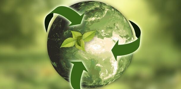 Vermittler: Standards für Nachhaltigkeit kommen später – was tun?